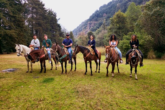 Horseback Riding in the Forest and Breakfast in Cabin - Is $161.20 a fair price?