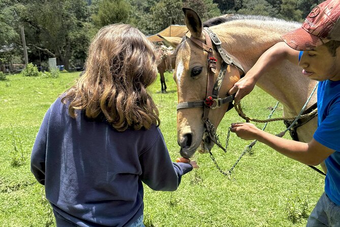Horseback Riding in the Forest and Breakfast in Cabin - The final call: book it for the forest, not just the horse