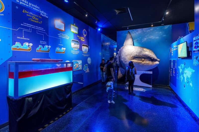 Inbursa Aquarium Entry Ticket with VR Option - Key points to know before you go