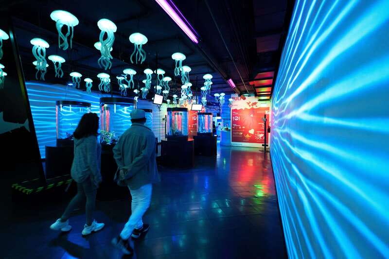 Inbursa Aquarium Entry Ticket with VR Option - Cancellation, payment, and access details