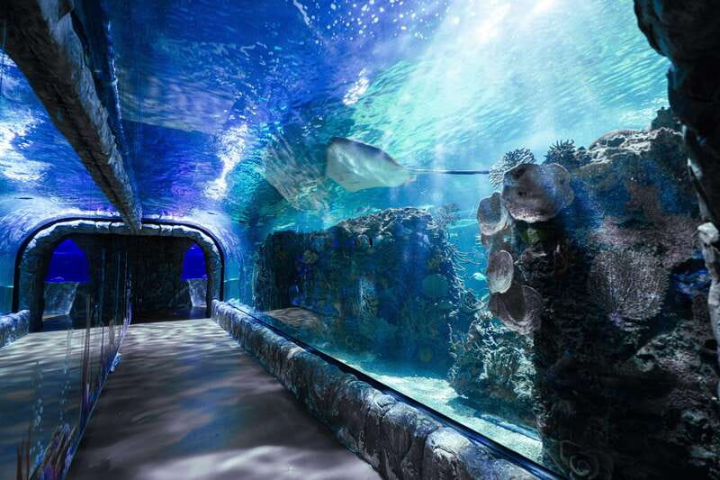 Inbursa Aquarium Entry Ticket with VR Option - Starting your visit at Acuario Inbursa