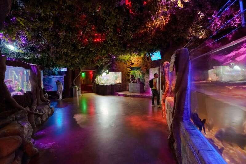 Inbursa Aquarium Entry Ticket with VR Option - The Interactive Aquarium adds technology to the lesson