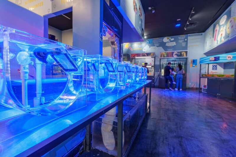 Inbursa Aquarium Entry Ticket with VR Option - Is the $20 price good value?