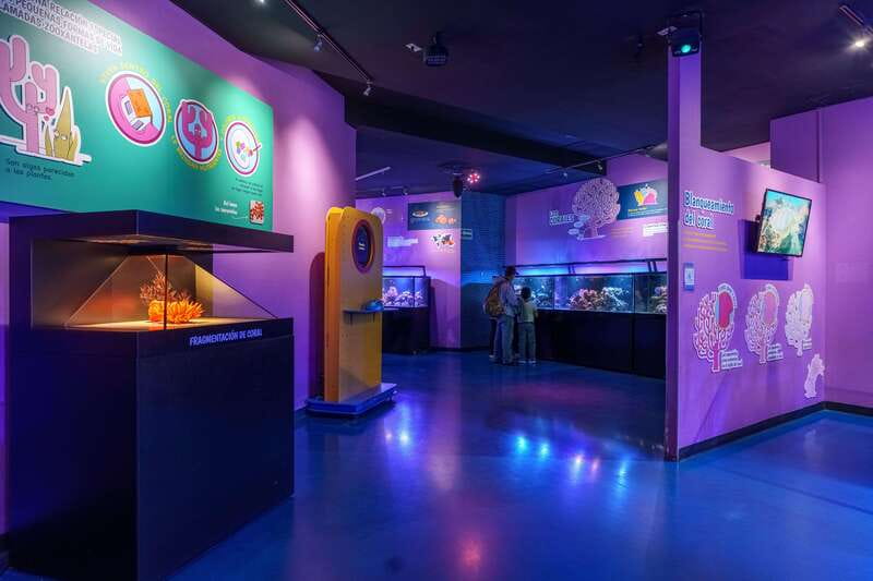 Inbursa Aquarium Entry Ticket with VR Option - Planning your day around the 10:00 am to 6:00 pm hours