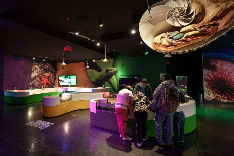 Inbursa Aquarium Entry Ticket with VR Option - Who will enjoy this aquarium most?