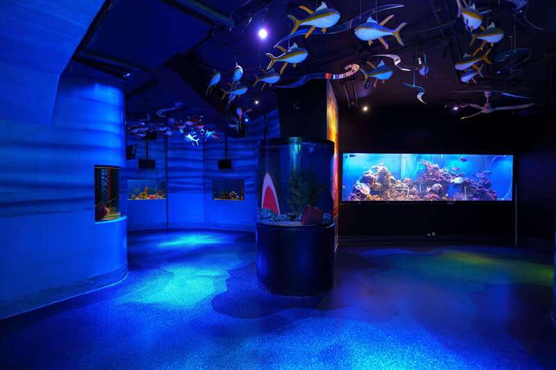 Inbursa Aquarium Entry Ticket with VR Option - Making the most of a self-guided aquarium visit