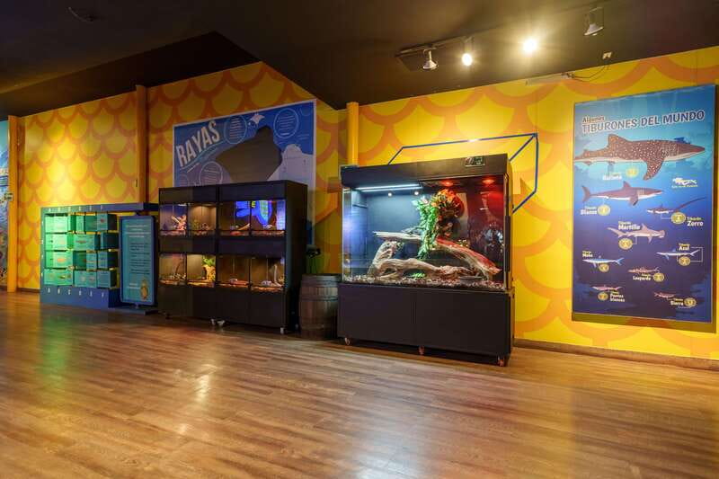 Inbursa Aquarium Entry Ticket with VR Option - Sharks, turtles, and seahorses across the main rooms