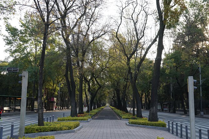 Mexico City: 19 City Highlights Bicycle Tour - The Monumento a la Revolución and Roma Norte Finish