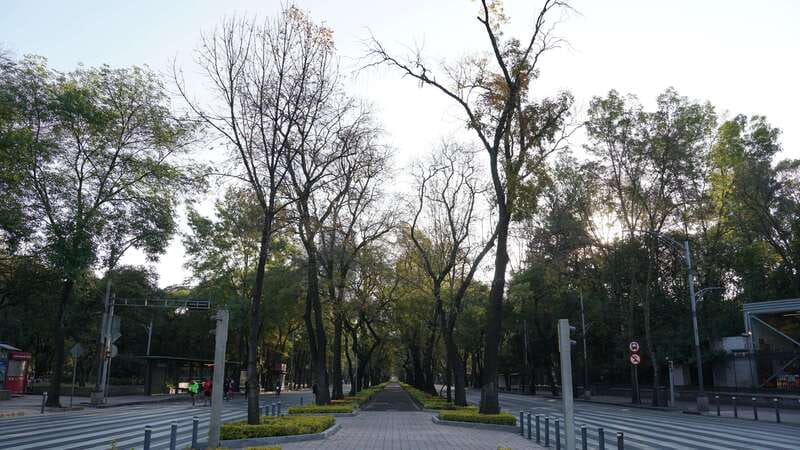 Mexico City: 19 City Highlights Bicycle Tour - How the $70 Price Holds Up