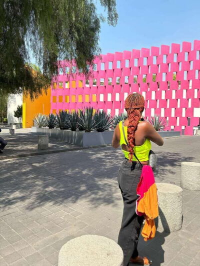 1960s &1970s Mexican Architecture Walking Tour