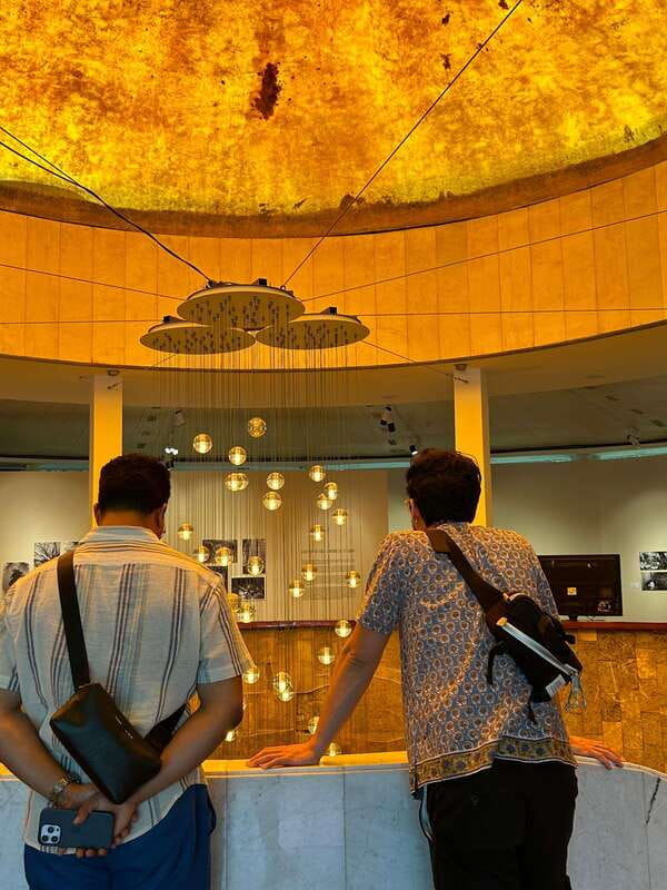 Mexico City: 1960s &1970s Mexican Architecture Walking Tour - What the guide adds to the experience