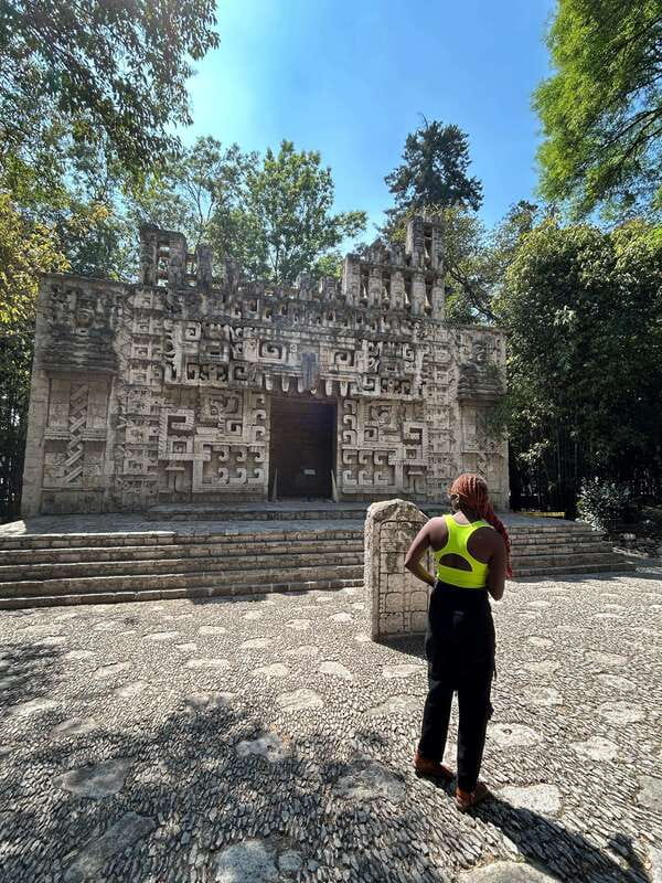 Mexico City: 1960s &1970s Mexican Architecture Walking Tour - Practical details for a smooth three hours