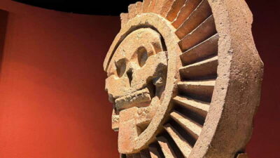Anthropology Museum Guided Visit
