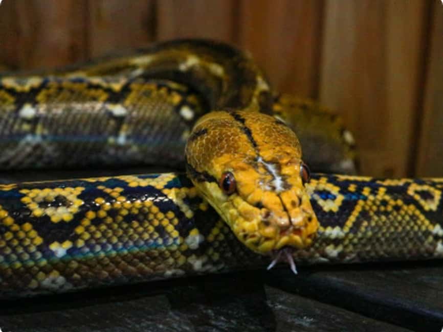 Mexico City: Entry Ticket to Acuario Michin - How long to stay and who will enjoy it most