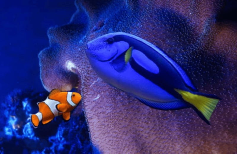 Mexico City: Fast Pass Ticket to Acuarium Inbursa - The Interactive Aquarium Is Included