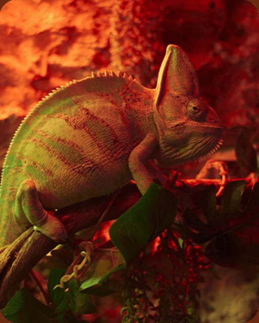 Mexico City: Fast Pass Ticket to Acuarium Inbursa - What You See Inside the Aquarium