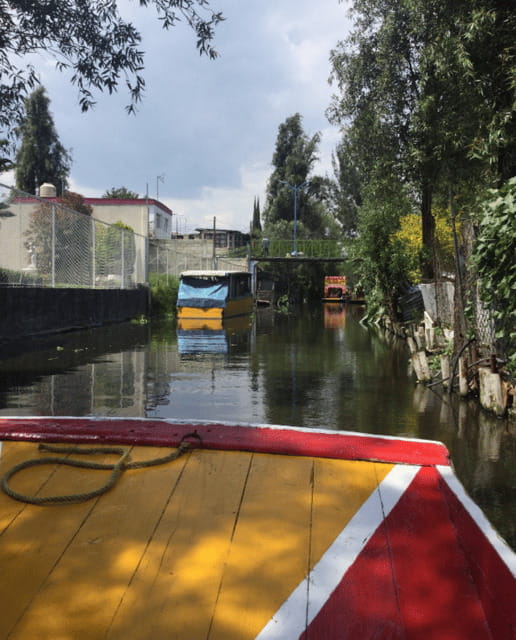 Mexico City: Frida Kahlo, Coyoacán, and Xochimilco Day Tour - Key points to know before you go
