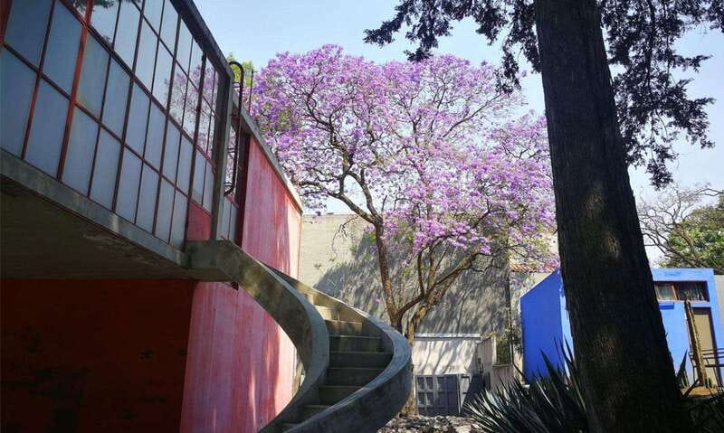 Mexico City: Frida Kahlo-Diego Rivera Studio House Tour - The guided visit inside the Studio House