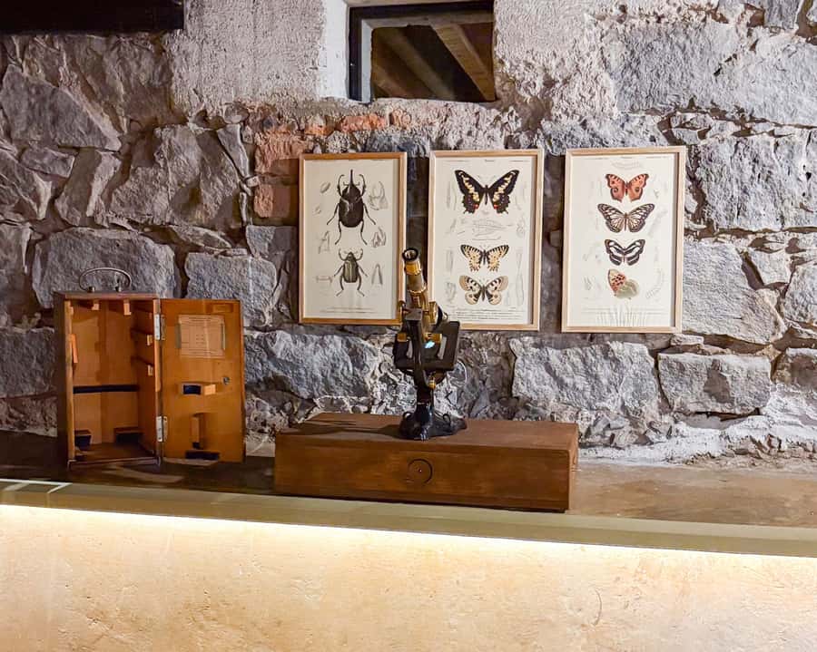 Mexico City: Frida Kahlo Museum Entry Ticket w/Digital Guide - Practical Tips for a Smoother Visit