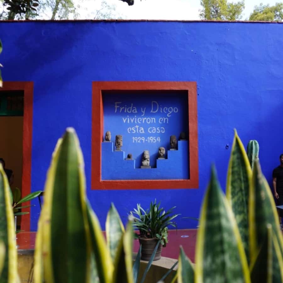 Mexico City: Frida Kahlo Museum Tour - Key points before you book