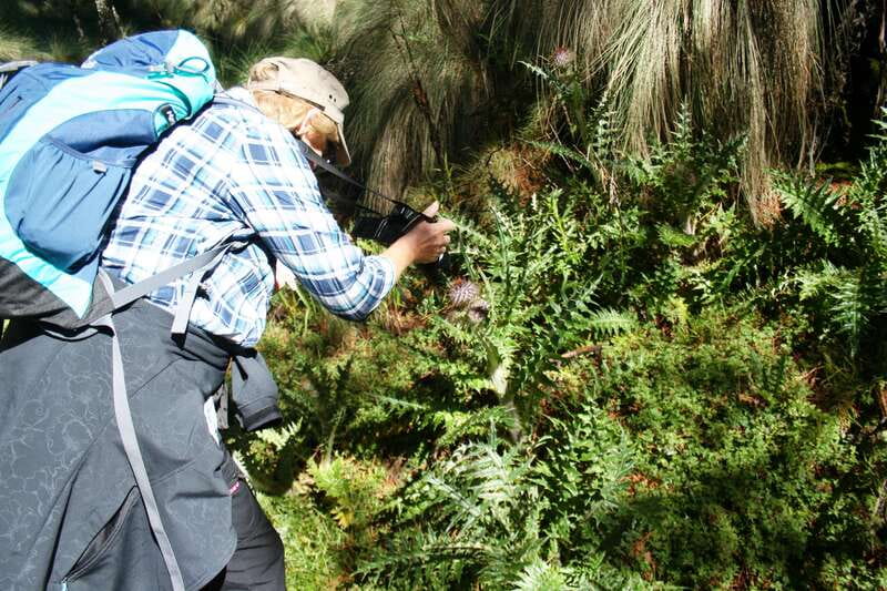 Mexico City: Guided Volcano Trek with Lunch - The first climb toward Cerro Altzomoni