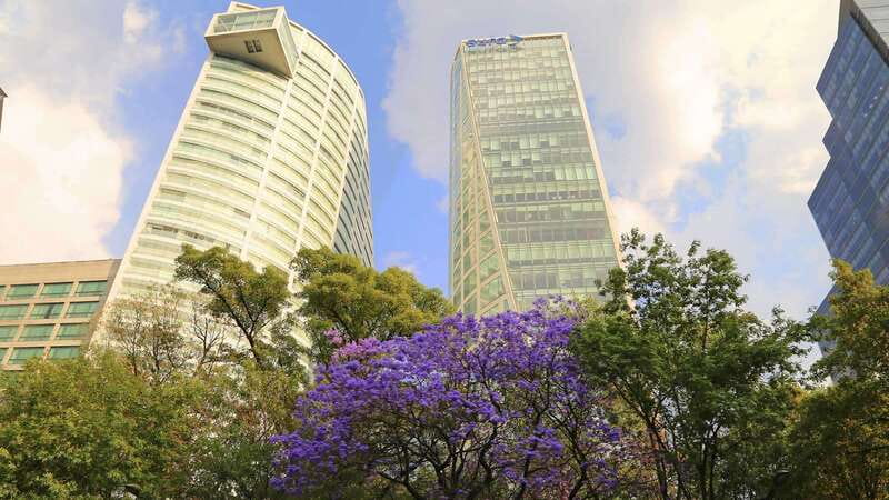 Mexico City: Hop-on Hop-off City Tour by Turibus 1-Day Pass - What the $20 price really buys you