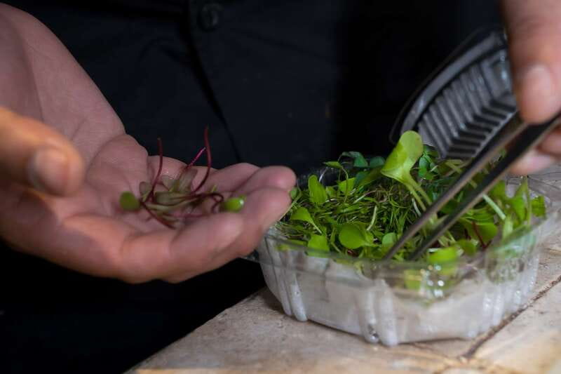 Mexico City: Mexican Cooking Class - Three hours of shared kitchen work