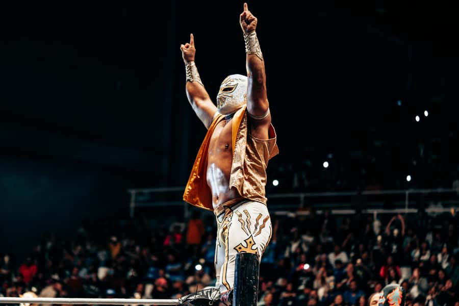 Mexico City: Mexican evening, lucha libre, and tequila - Key things to know before booking