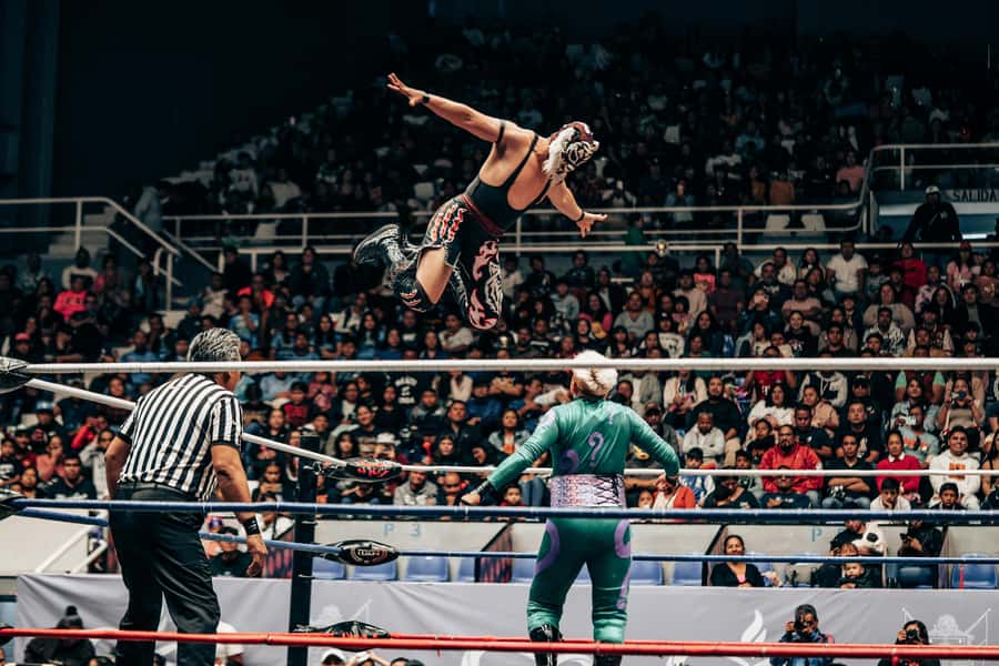 Mexico City: Mexican evening, lucha libre, and tequila - Tequila, mezcal, and the cantina stop