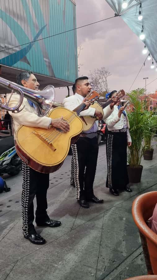 Mexico City: Mexican evening, lucha libre, and tequila - Walking through Mexico City’s historic center