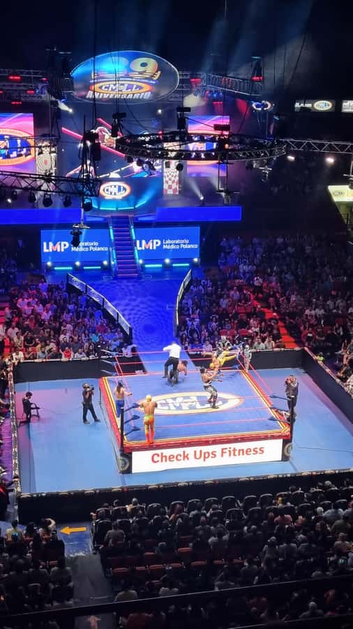 Mexico City: Mexican evening, lucha libre, and tequila - What the $53 price really covers