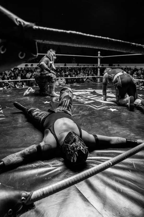 Mexico City: Mexican evening, lucha libre, and tequila - Meeting at Isabel La Católica 61a