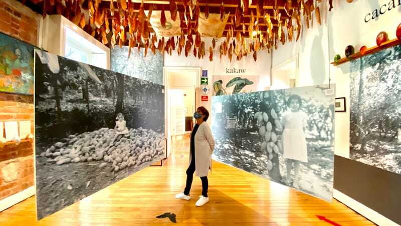 Mexico City: MUCHO Museum of Chocolate Entrance Ticket - Who will enjoy MUCHO most?