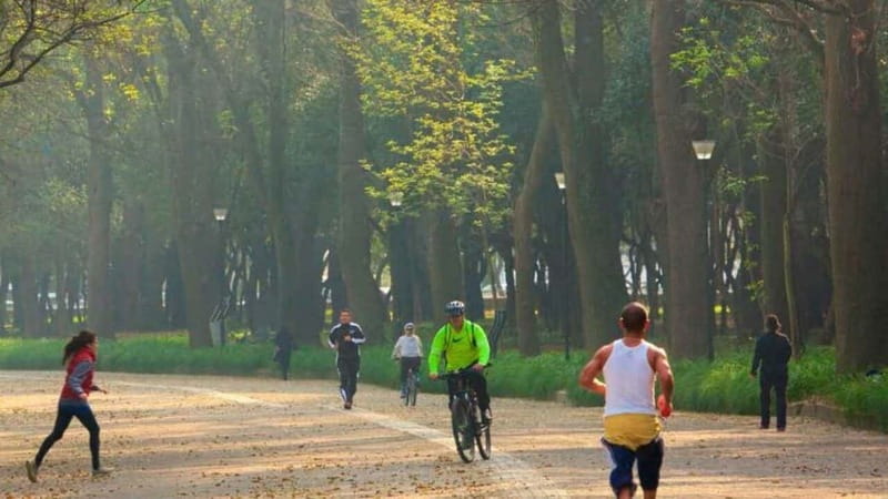 Mexico City: Private Chapultepec Park Bike Tour - Key points to know before you book