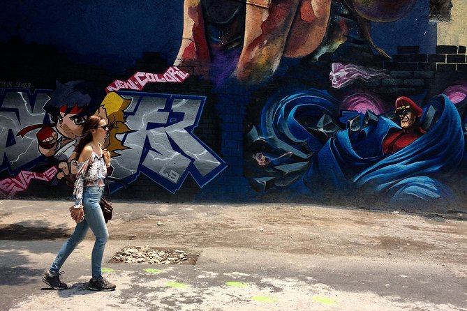 Mexico City Private Street Art Tour - Practical details that affect your day