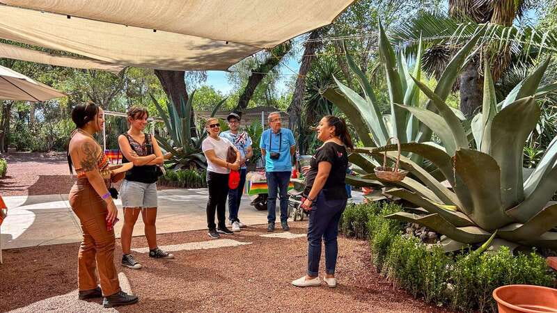 Mexico City: Teotihuacan, Tlatelolco & Basilica of Guadalupe - Why this day trip works