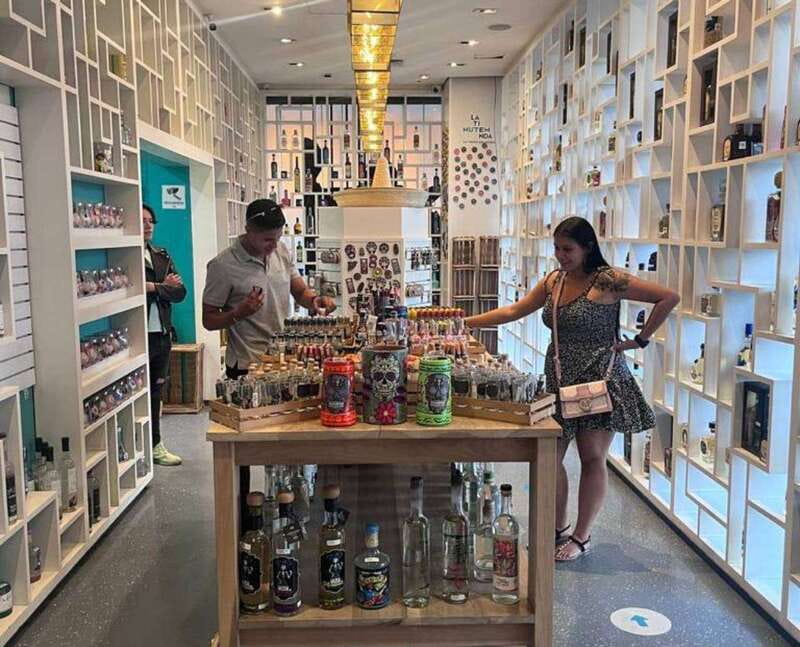 Mexico City: Tequila and Mezcal Museum Tour with Tasting - Agave, tequila, and mezcal in plain language