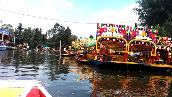 Mexico City Tour And Xochimilco - Coyoacan brings the day down to street level