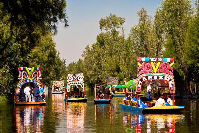 Mexico City Tour And Xochimilco - University City adds a different side of Mexico City