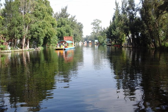 Mexico City Tour And Xochimilco - Transport, pickup, and the real length of the day