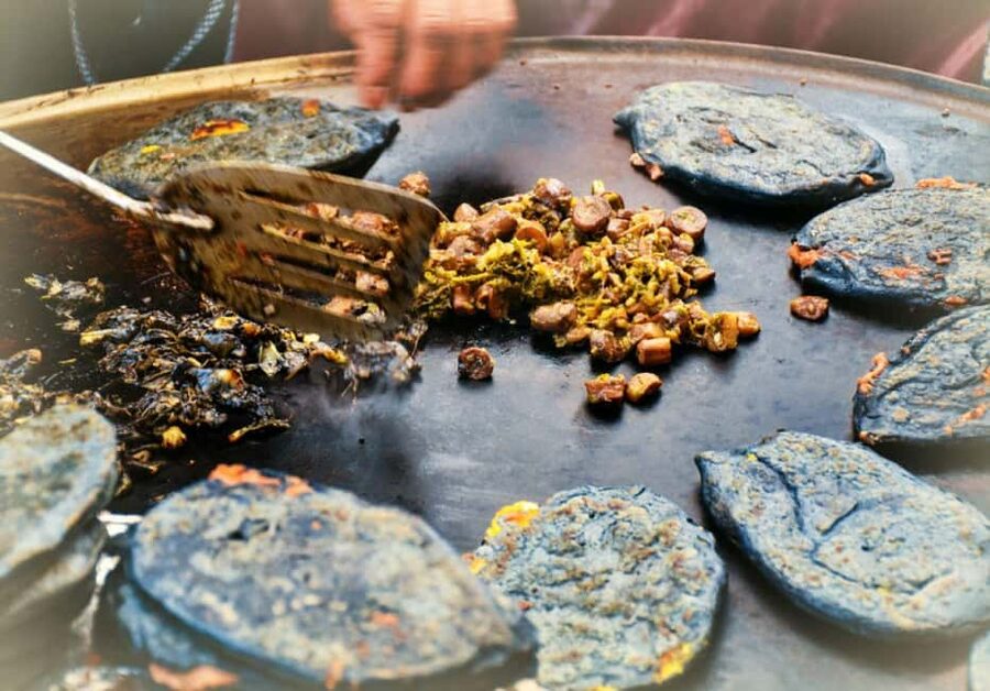 Mexico City: Vegan and Vegetarian Street Food Adventure - Family kitchens, quesadillas, and local classics