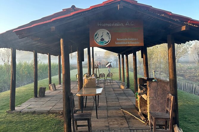 Mexico City: Xochimilco at sunrise + Breakfast and transportation - Xochimilco’s canals are also farmland