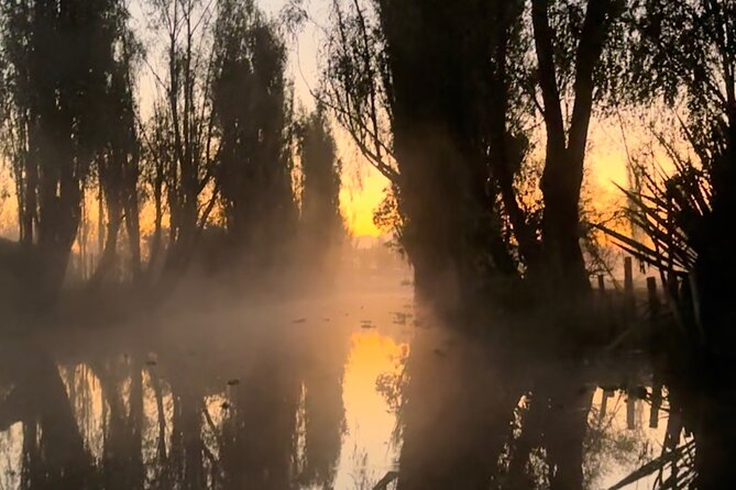 Mexico City: Xochimilco at sunrise + Breakfast and transportation - Breakfast picked from the chinampa