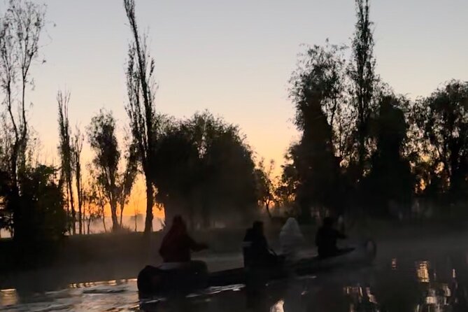 Mexico City: Xochimilco at sunrise + Breakfast and transportation - The return ride shows Xochimilco in daylight
