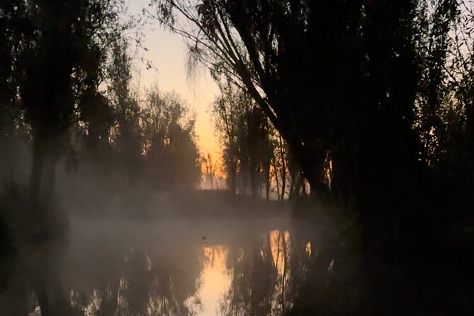 Mexico City: Xochimilco at sunrise + Breakfast and transportation - What the $173.25 price includes in practical terms