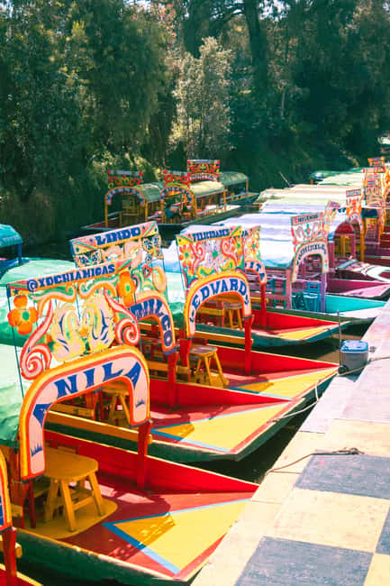 Mexico City: Xochimilco Boat with Guacamole & Premium Drinks - Two hours of canals, color, and local stories