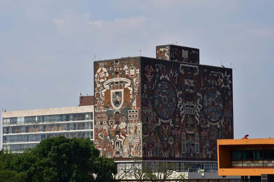 Mexico City: Xochimilco Coyoacan, Frida Kahlo & UNAM Murals - Key points to know before booking