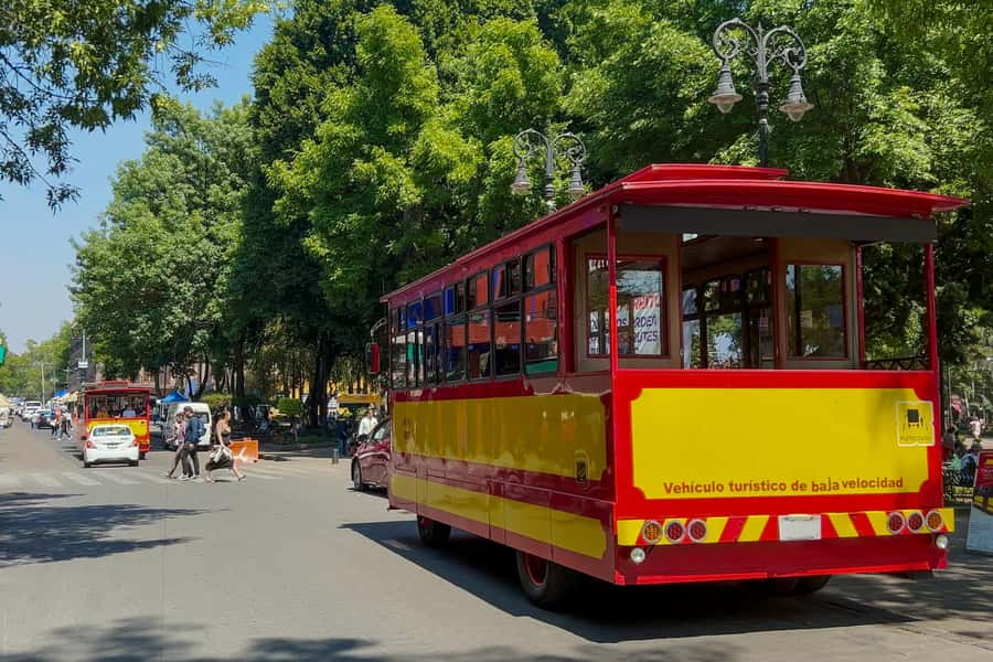 Mexico City: Xochimilco Coyoacan, Frida Kahlo & UNAM Murals - Guides, languages, and the feel of the day
