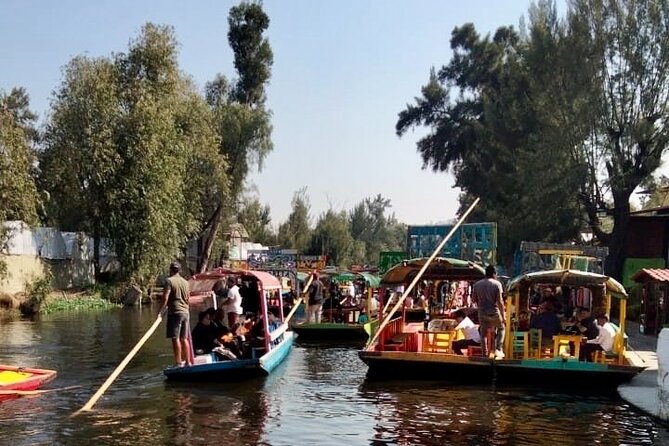 Mixology, Food, Wine and Beer Experience in Xochimilco - Five Mexican drinks, from spirits to pulque