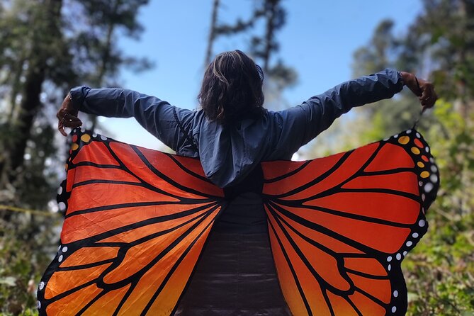 Monarch Butterfly Reserve: Piedra Herrada Magical Valle de Bravo - Leaving Mexico City at 7:00 am